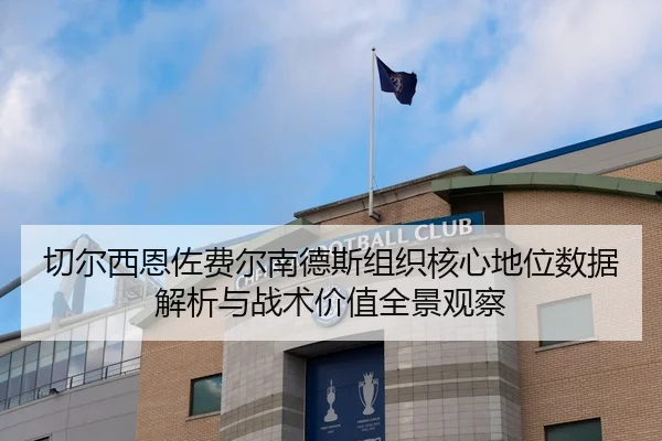 切尔西恩佐费尔南德斯组织核心地位数据解析与战术价值全景观察 | kaiyun
