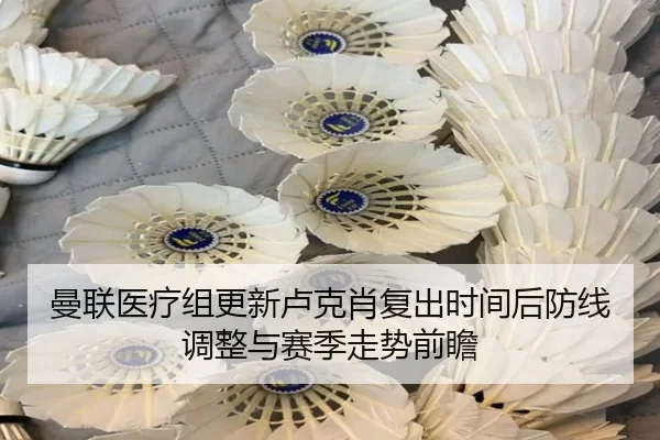 曼联医疗组更新卢克肖复出时间后防线调整与赛季走势前瞻 | kaiyun